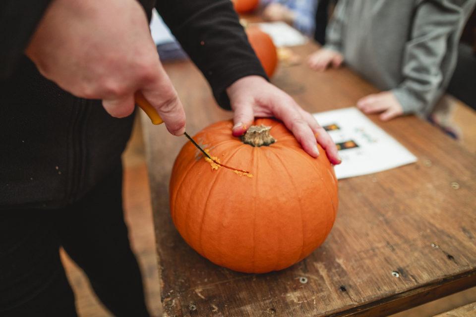 Cutting Into the Pumpkin