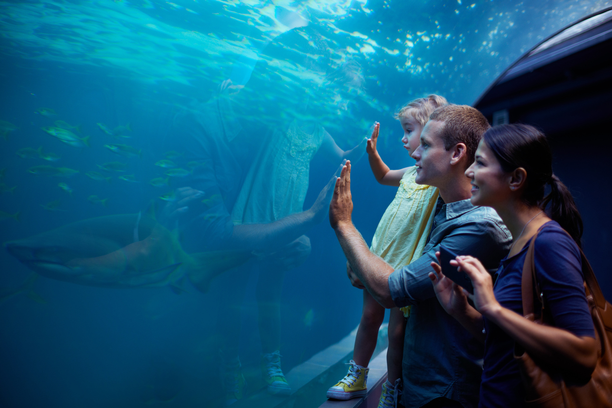 family exploring an aquarium