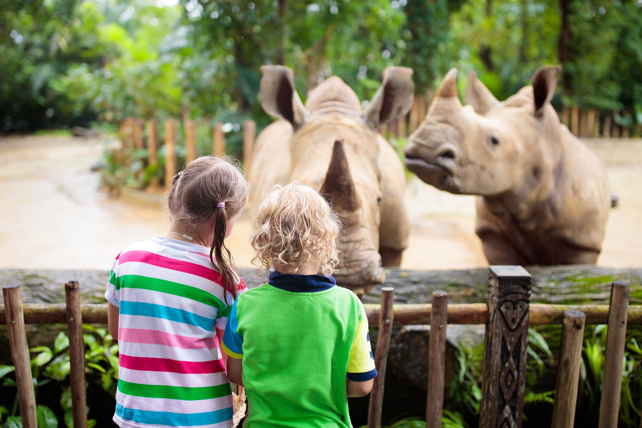 kids feeding animals at zoo